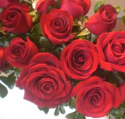 valentines-day-roses-3-image-courtesy-of-wikipedia-commons